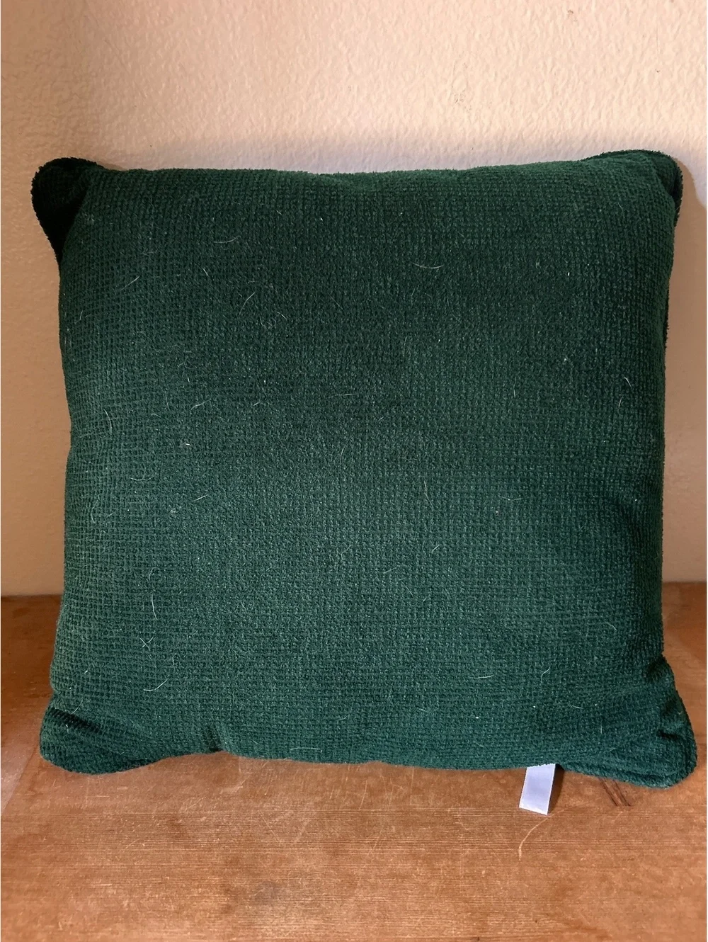 Decorative Christmas Snowman Throw Pillow with Green Backing
